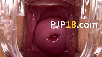 Hard dildo action with deep vagina close-ups in this clip.