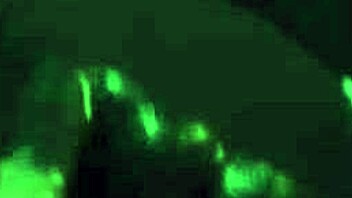 damn, steamy street sex in 3d anime with squirt and creampie explosion!