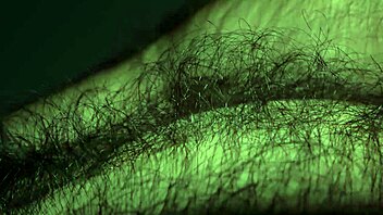 louivmane's hairy gay bear body tour compilation