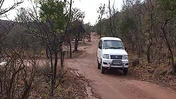 Unforgettable Hot Sex on My African Safari Adventure