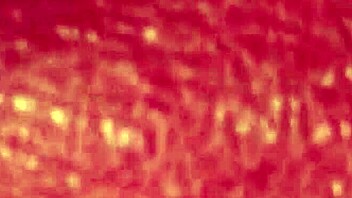 Indian Wife Sucks and Strokes Me