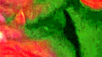 Angelg and Kuzz, ready for Halloween special part 2?