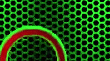 Oiled Carmen Valentina Dildo Fucks Her Plump Pussy