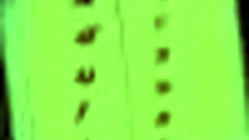 big city pleasures 77, camera focuss easier when cassie is topless