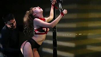 bound participant explored with toys in stylish attire