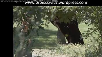 i love big tits in sportz