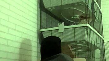 horny piss play on my sofa