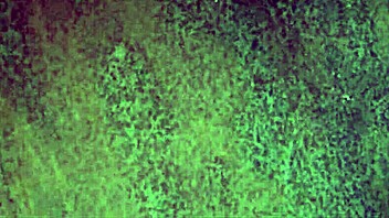 Gay Guy During Cruising Plan - Behind The Scene Porn