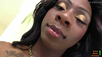 Bigass ebony shemale slams tight lover’s hole hard