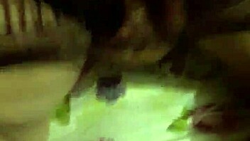 blowjob then cowgirl and doggystyle