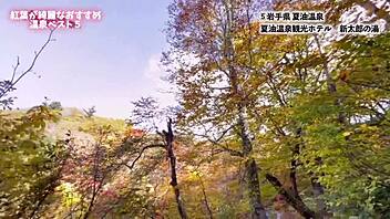 Mau Gabung Nanachi di Fun Liar?