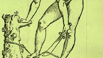 What Do You Think Of This Vintage Erotic Cartoon Illustration?