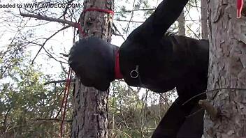 Petite teen tied up outdoors for rough anal sex