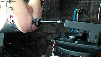 I Experience the 26 11 BBD Sex Machine in Hentai Style