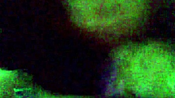 Sashaa legend gives amazing blow job