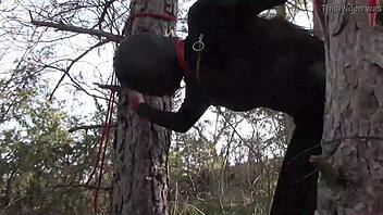 Tied Up Latina Teen in Pantyhose Rough Outdoor Fuck!