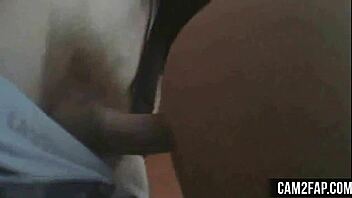 Intense Hardcore Sex In Free Porn Video