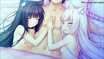 Discovering the charming world of Nekopara anime