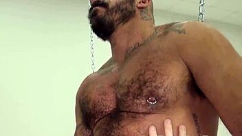 Hairy Alessio Romero And Cooper Roads In Passionate Flip Fuck