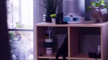 natalie brooks as slutty stepsister caught blowing big ass guy while spying 😏