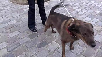 Chubby Cougar Dominates Fat Gay Guy!