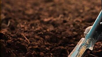 the easy gay life involves simple daily routines