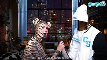 Does pussy cat blow big dick?