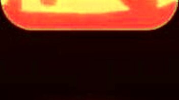 Did the Pokemon trainer really take that pokeball in her backside?