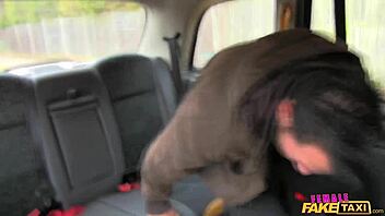 Female fake taxi driver gags on copper’s cum after wild ride.