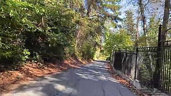 whore lost in forest, strangers cum in all holes