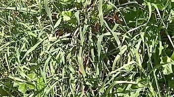 I feel so sensual with this slutty brunette, reaching orgasm in her gaping pussy