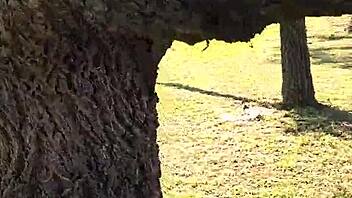 meando desde un arbol en gral paz feels wild jajaja