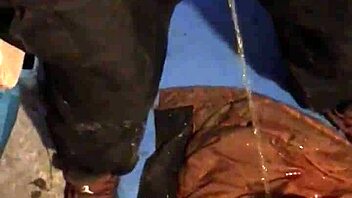 Bomber Part 2 In Public Outdoor Setting