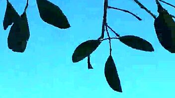 meando desde un arbol en gral paz feels wild jajaja