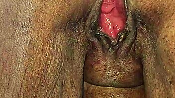 roadside pussy licking exchange