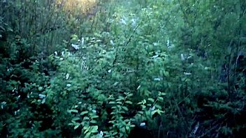 teen 18+ babe gives daring blowjob during a public walk in the forest