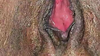 roadside pussy licking exchange