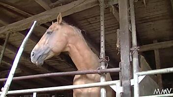 teen amateur begs not to cum inside during fuck 😏