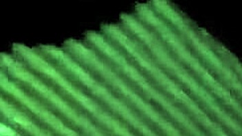 fuck, this gay cogidita is so hot, watch him get pounded hard with deep thrusts and moans!