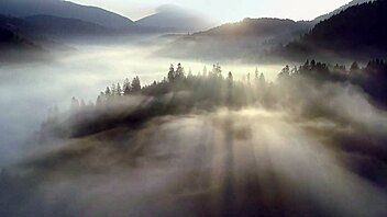 what's this fantasy campire doing with baremaidens and cum?