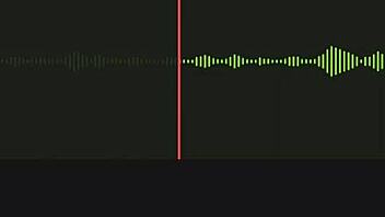 Incredible spy audio of the neighbor part one