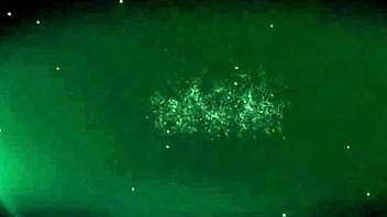 Lovely Brunette Sucks and Swallows Cock Lively