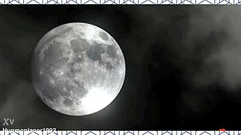 أنيك طيز الترانس أنتوانيت ميلاني في شقتها