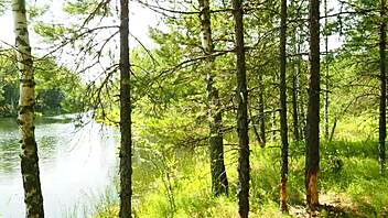 Cute Stepsister Swallows Stepbrother's Cum in Woods