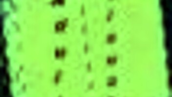 My New Family Adventures In Episode 314!