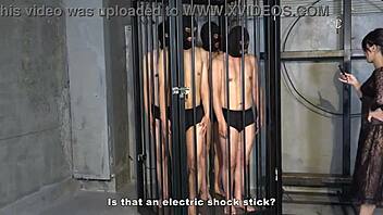 Hey, Mistress Sara, got four masochistic men for you