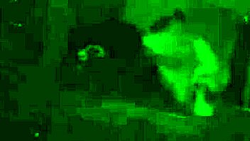 Black hood chick sucking big cock blowjob