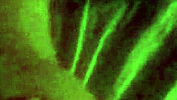 I'm giving it good to my husband in this sex tape, amateurs couple style