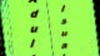 Harem Hotel 93 Game Adventure