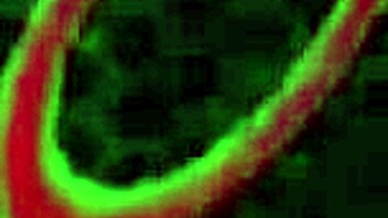 ryan conner sucks rome majors dick and gets banged hard